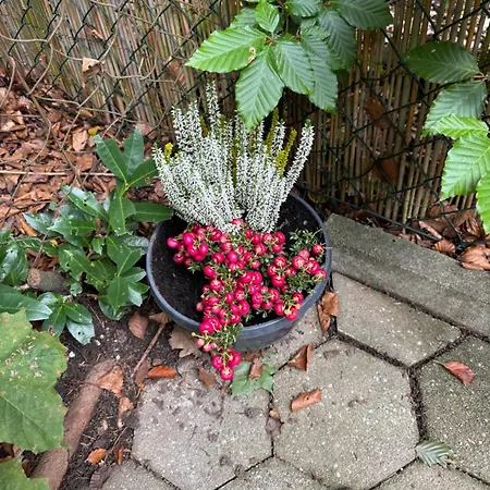 30 Min From Munich & S-bahn With Garden Gauting